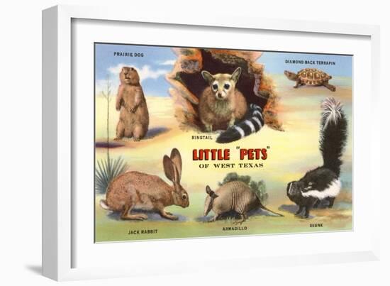 Creatures of the West Texas Desert-null-Framed Premium Giclee Print