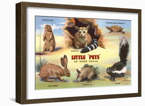 Creatures of the West Texas Desert-null-Framed Art Print