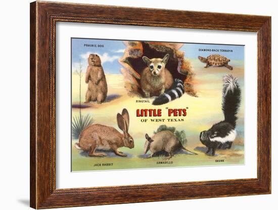 Creatures of the West Texas Desert-null-Framed Art Print