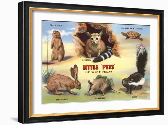 Creatures of the West Texas Desert-null-Framed Art Print