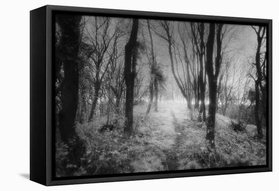 Creech Hill, Bruton, Somerset-Simon Marsden-Framed Premier Image Canvas