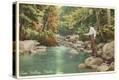 Stretched Canvas Print