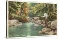 Stretched Canvas Print