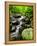 Creek Flows Through Forest, Shenandoah National Park, Virginia, USA-Jay O'brien-Framed Premier Image Canvas