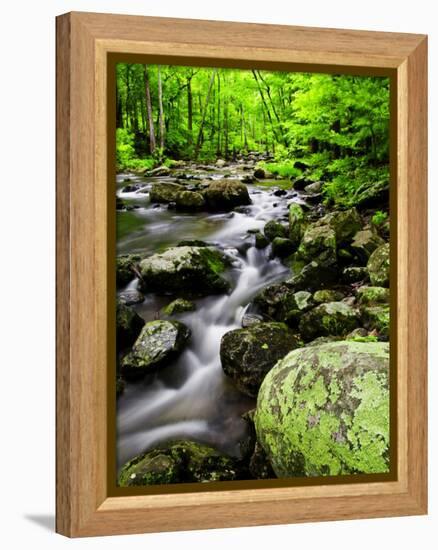 Creek Flows Through Forest, Shenandoah National Park, Virginia, USA-Jay O'brien-Framed Premier Image Canvas