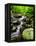 Creek Flows Through Forest, Shenandoah National Park, Virginia, USA-Jay O'brien-Framed Premier Image Canvas