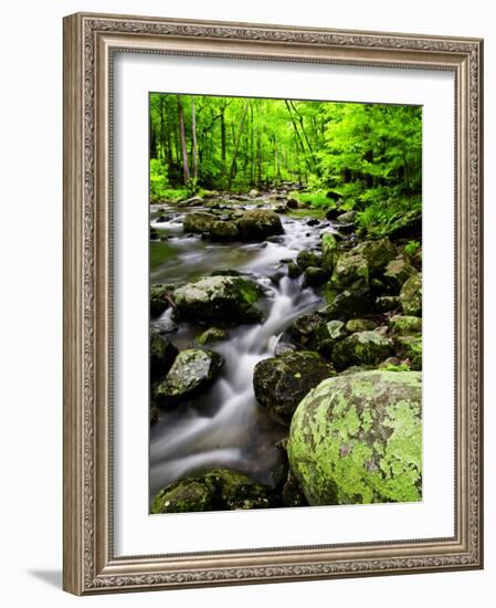 Creek Flows Through Forest, Shenandoah National Park, Virginia, USA-Jay O'brien-Framed Photographic Print