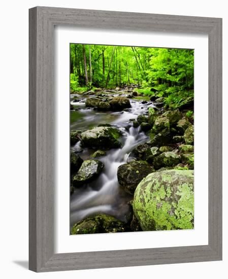 Creek Flows Through Forest, Shenandoah National Park, Virginia, USA-Jay O'brien-Framed Photographic Print