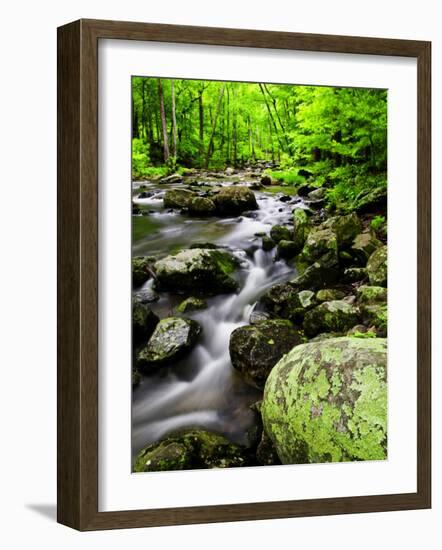 Creek Flows Through Forest, Shenandoah National Park, Virginia, USA-Jay O'brien-Framed Photographic Print