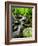 Creek Flows Through Forest, Shenandoah National Park, Virginia, USA-Jay O'brien-Framed Photographic Print