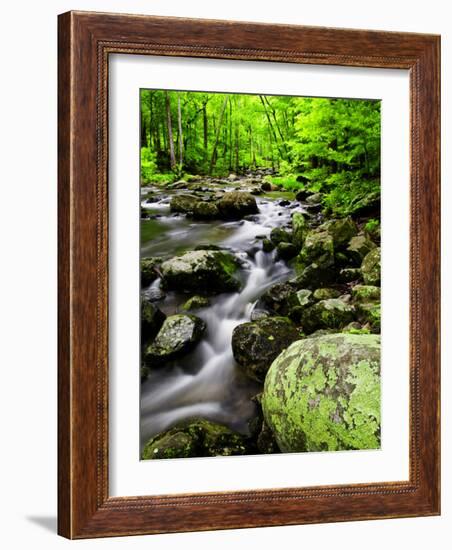 Creek Flows Through Forest, Shenandoah National Park, Virginia, USA-Jay O'brien-Framed Photographic Print