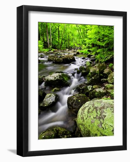 Creek Flows Through Forest, Shenandoah National Park, Virginia, USA-Jay O'brien-Framed Photographic Print