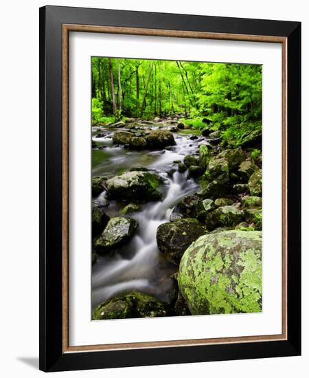 Creek Flows Through Forest, Shenandoah National Park, Virginia, USA-Jay O'brien-Framed Photographic Print