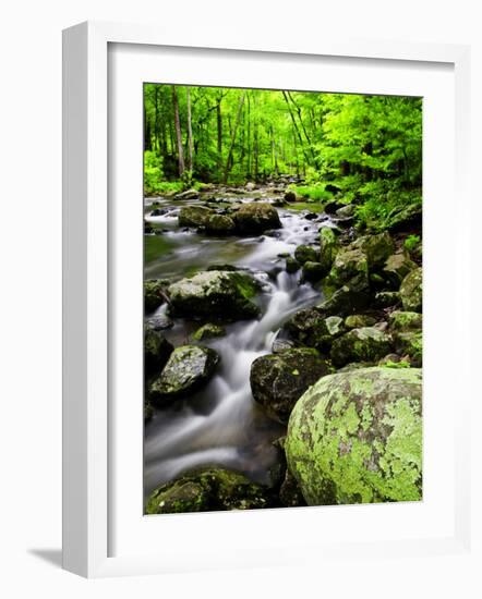 Creek Flows Through Forest, Shenandoah National Park, Virginia, USA-Jay O'brien-Framed Photographic Print