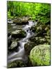 Creek Flows Through Forest, Shenandoah National Park, Virginia, USA-Jay O'brien-Mounted Photographic Print