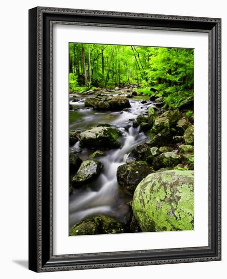 Creek Flows Through Forest, Shenandoah National Park, Virginia, USA-Jay O'brien-Framed Photographic Print