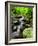 Creek Flows Through Forest, Shenandoah National Park, Virginia, USA-Jay O'brien-Framed Photographic Print