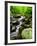 Creek Flows Through Forest, Shenandoah National Park, Virginia, USA-Jay O'brien-Framed Photographic Print