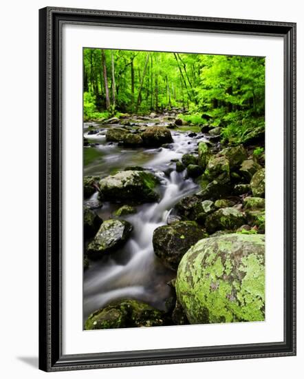 Creek Flows Through Forest, Shenandoah National Park, Virginia, USA-Jay O'brien-Framed Photographic Print