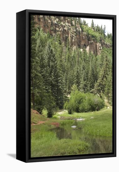 Creek in a Canyon High in the Jemez Mountains, New Mexico-null-Framed Premier Image Canvas