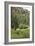 Creek in a Canyon High in the Jemez Mountains, New Mexico-null-Framed Photographic Print