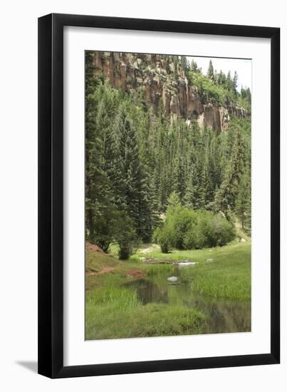 Creek in a Canyon High in the Jemez Mountains, New Mexico-null-Framed Photographic Print