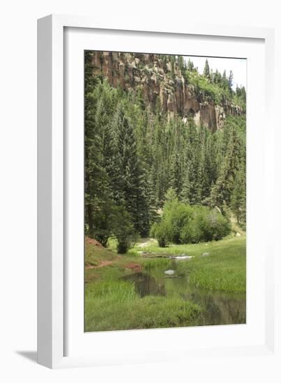 Creek in a Canyon High in the Jemez Mountains, New Mexico-null-Framed Photographic Print