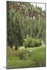 Creek in a Canyon High in the Jemez Mountains, New Mexico-null-Mounted Photographic Print