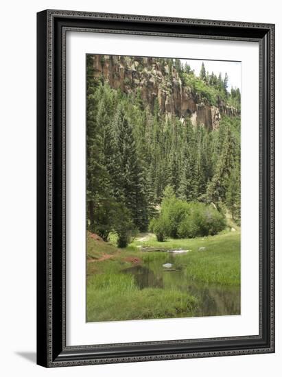 Creek in a Canyon High in the Jemez Mountains, New Mexico-null-Framed Photographic Print