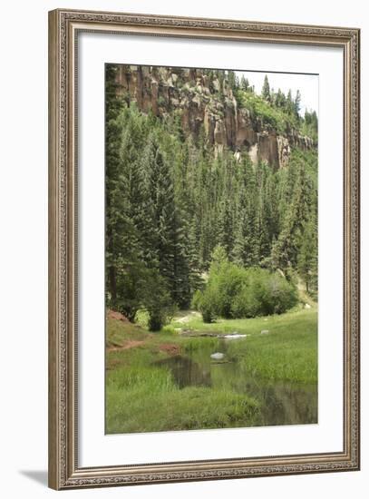 Creek in a Canyon High in the Jemez Mountains, New Mexico-null-Framed Photographic Print