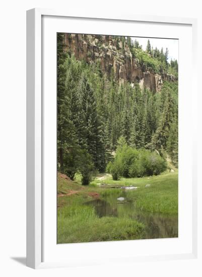 Creek in a Canyon High in the Jemez Mountains, New Mexico-null-Framed Photographic Print