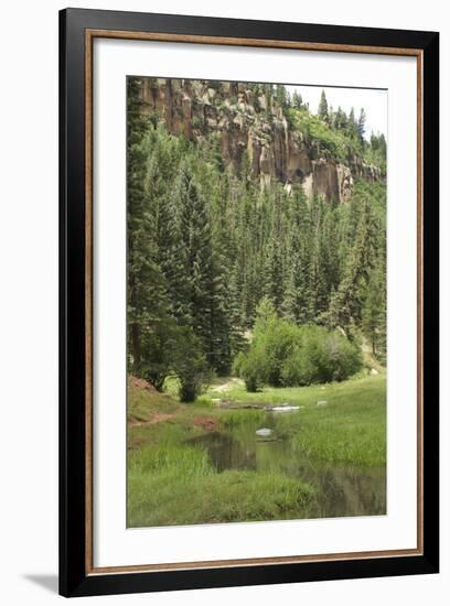 Creek in a Canyon High in the Jemez Mountains, New Mexico-null-Framed Photographic Print