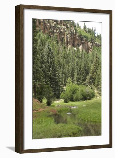 Creek in a Canyon High in the Jemez Mountains, New Mexico-null-Framed Photographic Print