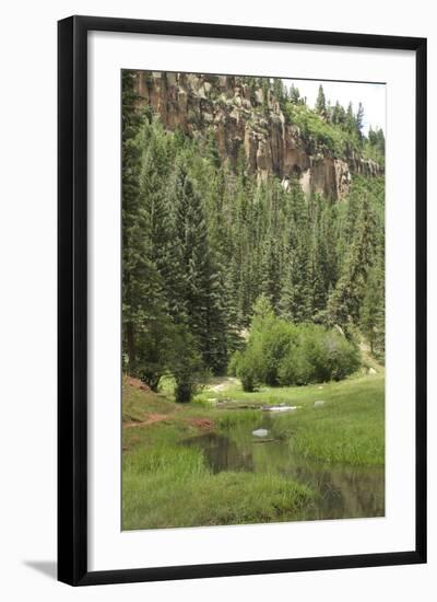Creek in a Canyon High in the Jemez Mountains, New Mexico-null-Framed Photographic Print
