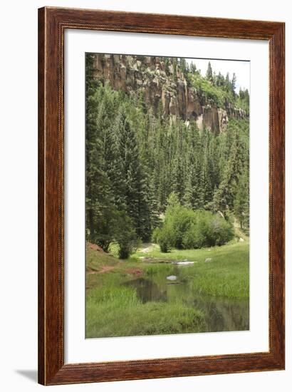 Creek in a Canyon High in the Jemez Mountains, New Mexico-null-Framed Photographic Print