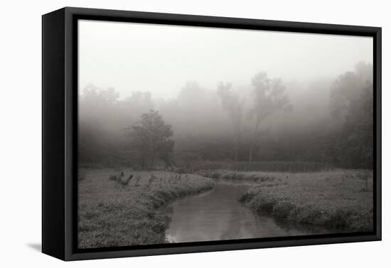 Creek in Fog I - BW-Tammy Putman-Framed Premier Image Canvas