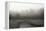 Creek in Fog I - BW-Tammy Putman-Framed Premier Image Canvas