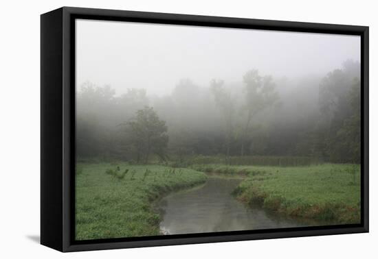 Creek in Fog I-Tammy Putman-Framed Premier Image Canvas