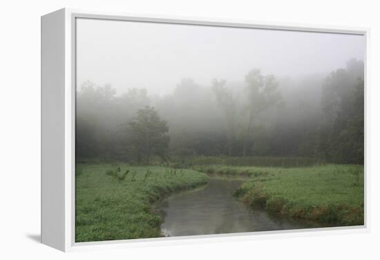 Creek in Fog I-Tammy Putman-Framed Premier Image Canvas