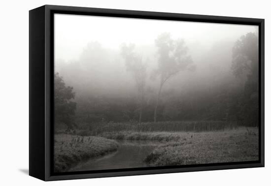 Creek in Fog II - BW-Tammy Putman-Framed Premier Image Canvas