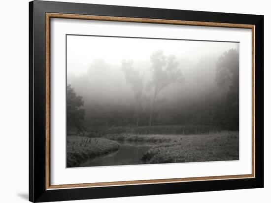 Creek in Fog II - BW-Tammy Putman-Framed Photographic Print