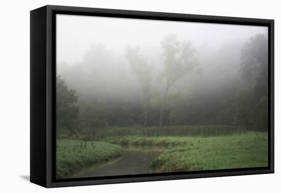 Creek in Fog II-Tammy Putman-Framed Premier Image Canvas