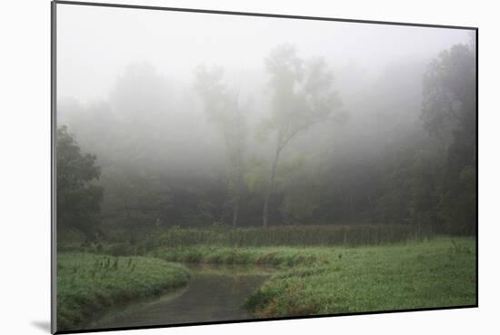 Creek in Fog II-Tammy Putman-Mounted Photographic Print