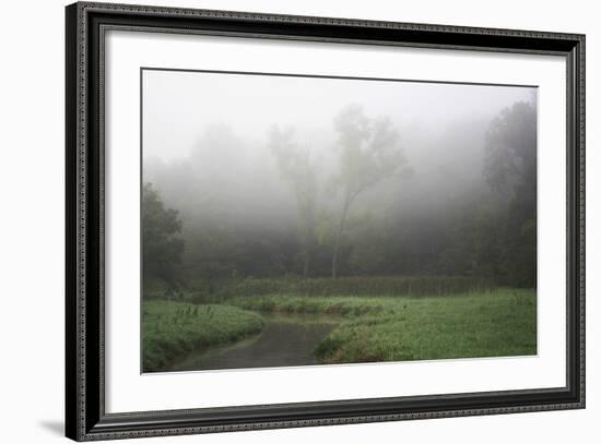 Creek in Fog II-Tammy Putman-Framed Photographic Print