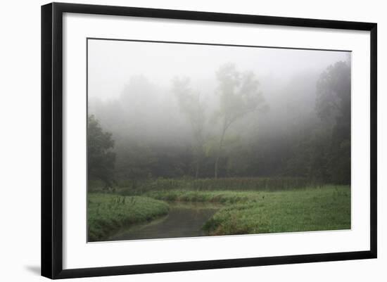 Creek in Fog II-Tammy Putman-Framed Photographic Print