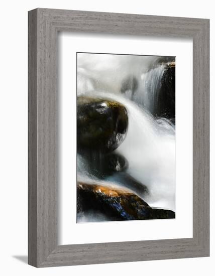 Creek Watcher-Ursula Abresch-Framed Photographic Print