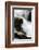 Creek Watcher-Ursula Abresch-Framed Photographic Print