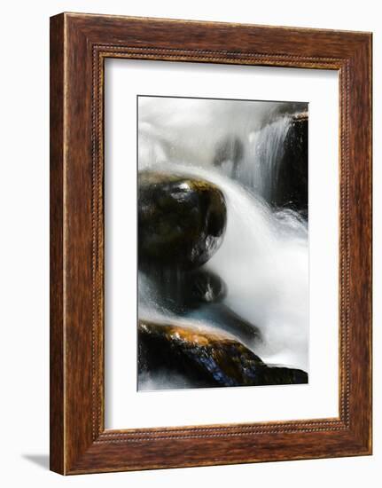 Creek Watcher-Ursula Abresch-Framed Photographic Print