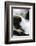 Creek Watcher-Ursula Abresch-Framed Photographic Print