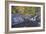 Creek-Rusty Frentner-Framed Giclee Print